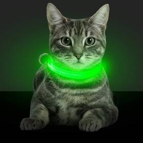 Bseen 810019321818 Light Up Dog Collars - Glowing Led Collar Rechargeable Puppy Collar