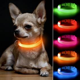 Bseen 815961025517 Light Up Dog Collar Rechargeable Led Glowing Cat Collars Re