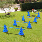 Cad07-0150241 Pawhut Dog Agility Equipment Hurdle Cone Set Starter 095509793010