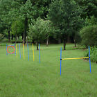 Cad1-00060241 Pawhut Dog Agility Set
