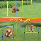 Cad1-00060243 Pawhut Outdoor Training Kit Starter Dog Agility Set Obedience Equipment