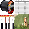 Cecominod076040 Professional Grade Super Duty Solid Core Electric Dog 804551313806