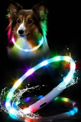 Chunlongfour Cl2023-02-9rainbow Waterproof Led Dog Collar Usb Rechargeable Light Up Collars Lights For Ni