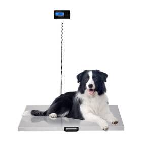 Chynalys Bjb-1 440lbs 200kg Postal Scale Pet Dog Scales Electronic Stainless Steel P