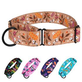 Collardirect Cw-educ-r1sc Martingale Collars For Dogs Heavy Duty Floral Pattern Female Saf