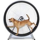 Cs6020 Gopet Exercise Treadwheel For