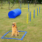 D07-004new Pawhut Dog Agility Starter 025093579950