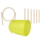 Da33090 Dog Agility Equipment Outdoor 4741506633090