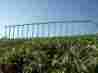 Ddf2-25 Dig Defence Dog Fence Panel Set Of 25