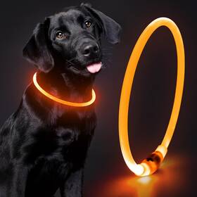 Domagiker Dm12356 Lighted Dog Collar - Waterproof Puppy Light Rechargeable High Visibil