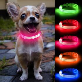 Domiglow Dm1007 Light Up Dog Collar For Small Dogs& Cats Reflective Led Rechargea