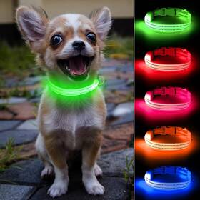 Domiglow Dm2024 Light Up Dog Collar For Small Dogs - Reflective Led Rechargeable P