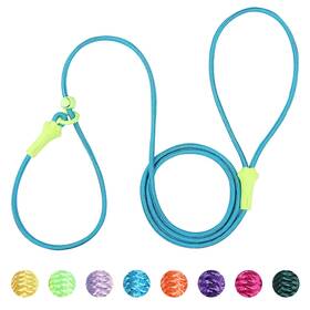 Dosuyi Leash-01 Slip Lead Dog Leash 5.9ft Lightweight Training Leads No Pull Pet Lea