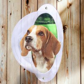 Downtown Pet Supply 705604322502 Dog Fence Acrylic Dome - Bubble For Privacy Great Children &
