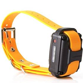 Educator Pe-090 Additional Receiver And Collar Compatible With All Training