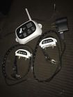 Eps0160tri Boruit Usa 100-3-2-1 Dog
