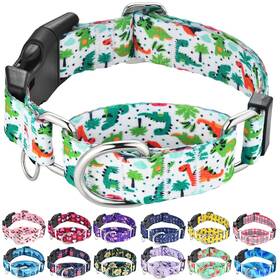 Fidohug Moc001-a-dinosaur-l Martingale Dog Collars With Buckle No Pull Training Collar For Large Dogs