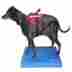Fit-0943 Fitpaws Brand New Balance Pad For Dogs