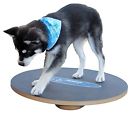 Fitpaws Dog Agility Wobble Board Fitness Equipment Puppy See Saw Gear Rocker Exercise 816452010258