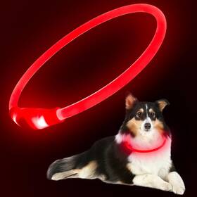 Flashseen 5333903275 Led Dog Collar Usb Rechargeable Glowing Lighted Up Cuttabl