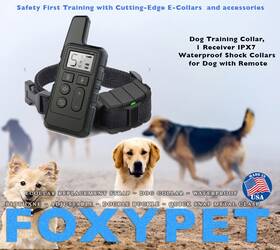 Ipx7 Foxypet 060915032260 Dog Training Collar 1 Receiver Waterproof Shock Collars For With Remote