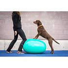 Fpegg65 Fitpaws Sport Egg Canine 816452010067
