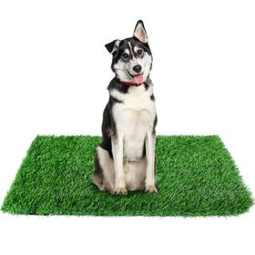 Globreen Glb-356818t/813-23x34 34 Inch X 23 Fake Grass Pee Pad For Dogs Potty Training Turf Pets Mat -