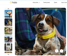 25h4114189rt Halo 2 Collar 4 Sunburst Yellow Gps Dog Fences - New / Unopened