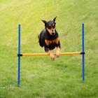Hgm7675695708255ql Fun Sport Pet Dogs Agility Jump Hurdle Poles 0602430450808