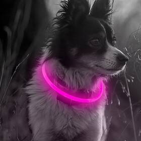 Illumifun 4346832836 Light Up Dog Collar - Rechargeable Led Glow In The Dark Illuminat