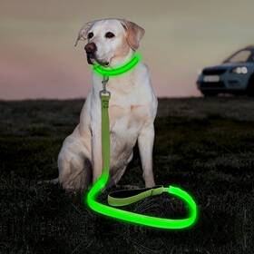Illumifun Bb2007-dl Led Dog Leash Usb Rechargeable Pet Glow In The Dark 47.2inc