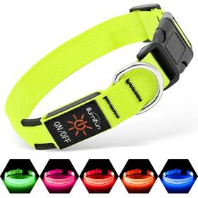 Illumifun Vb-6sxp-bmn5 Light Up Dog Collar Usb Rechargeable Led Glow In The Da