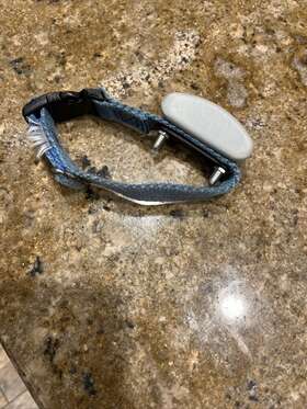 Invisible Fence R21 2.2 Platinum V 700 Series 10k Dog Collar Short Haired
