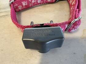 Invisible Fence Rig00-14107 10k Shields Indoor Only Dog Receiver Collar For Use With