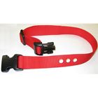 Iterfa48redvdspl1 Grain Valley Basic Collars Replacement Strap Color Sold 600740869686