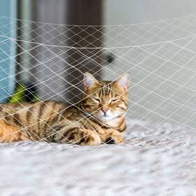 Jumxsrle 730908979985 Cat Balcony Net Pet Safety Fence For Balcony/stairs/window - Transparent Nyl