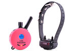 Lady Remote Educator -300ts- 1 2 Trainer Mini Dog Pink Mile