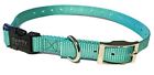 Lp102nqk-teal Spc Sparky Petco E