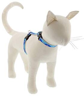 Lupinepet 48442 Lupine Reflective Cat And Small Pet H-style Harness In 1/2 Inch Wide Blue Paws Wi