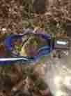 M013803 Innotek Wireless Dog Collar Model New Never Uses