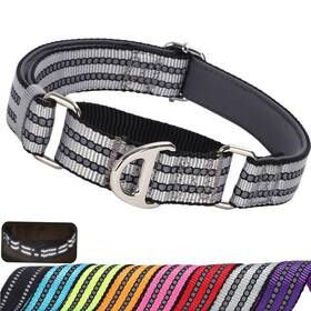 Maowuwujoz Hll-hj99 Martingale Collar For Dogs Reflective Nylon No Pull Choke With Padded