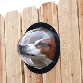 Mekbok B00bhbjpha 1 Pack Dog Fence Window 9.5 Inch Acrylic Dome Clear Pet