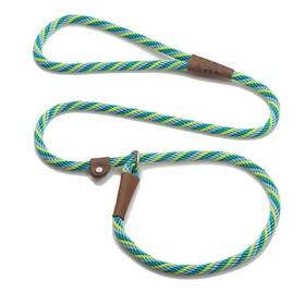 Mendota Products 793721026373 Pet Slip Leash - Dog Lead And Collar Combo Made In The Usa Seafoa