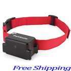 Mf-prf-275-19 Petsafe Stubborn Dog Receiver 784411494374