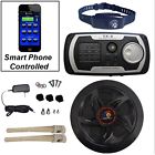 Mt-wl1rc M-tronic Receiver For Dog Wireless