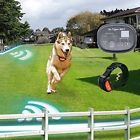 New Asin-92 Collars Electric Dog Fence Invisible Pet Containment Rechargeable