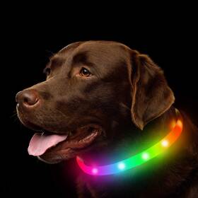 Novkin 783971928879 Led Dog Collar Rechargeable Rgb Color Changing Light Up Collars Waterpr