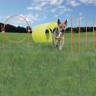 Oh42003 Outward Hound Outdoor Dog Agility Training Starter Kit