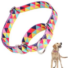 Onefojojo Sy3099-17 Martingale Collar For Dogs Adjustable Training No Slip Dog Large
