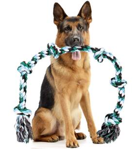 Pacific Pups Products 2pkxxl Giant Dog Rope Toys For Extra Large Dogs - 42 Inch 6 Knot Tough Chew To